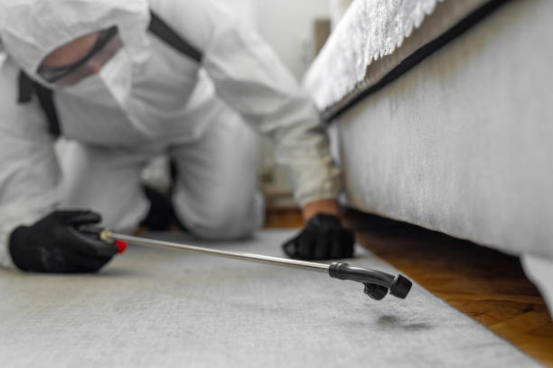 Professional Termite Control technician working in Douglas County County, NV